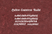 Calico Countess Font, a Serif Font by Aldiwangsadipa (Thumbnail 7 of 12)