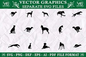 Greyhound Dog svg design