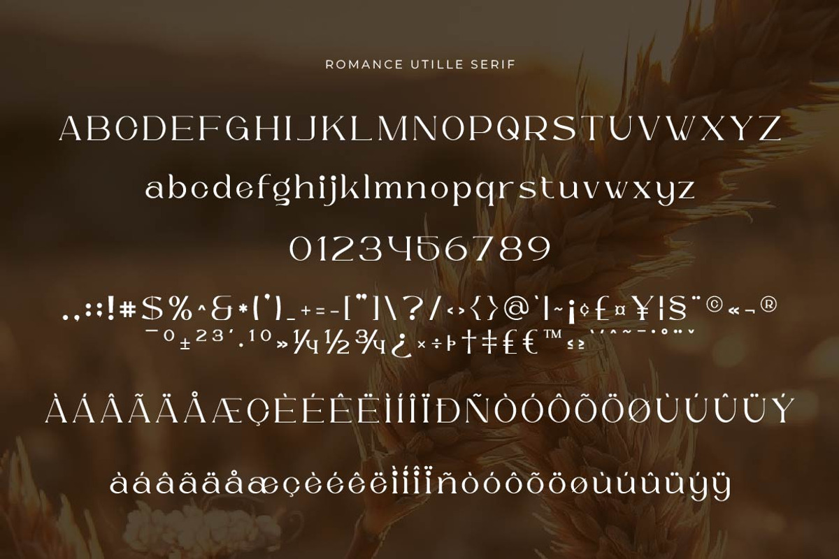 Wedding Font Duo - Romance Utille, a Script Font by Artiveko (Photo 2 of 8)