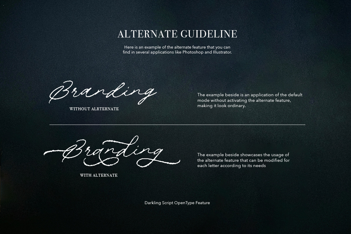 Darkling - Wedding Rough Script, a Script Font by Bale Type (Photo 9 of 11)
