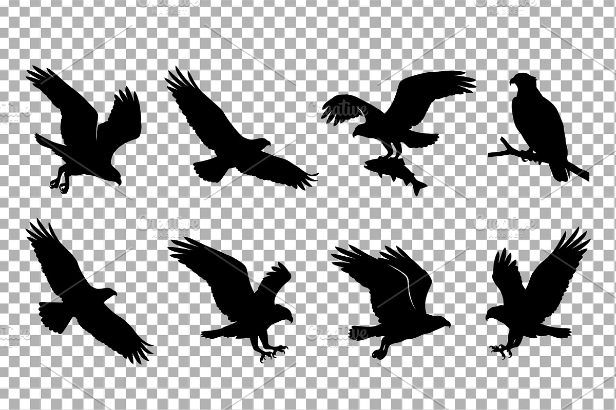 Eagle Hawk Silhouette Vector Dynamic, an Object Graphic by Artonix (Photo 3 of 3)