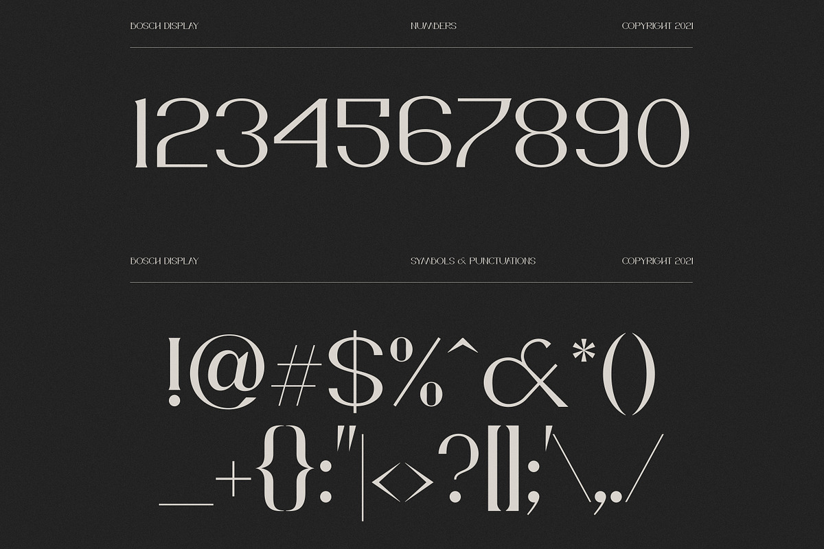 Bosch Display Font, a Serif Font by iframe fonts (Photo 7 of 14)