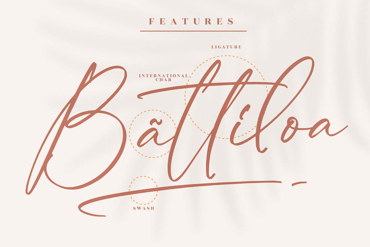 Kaldista Project Modern Signature, a Script Font by Letterena Studios Script (Photo 12 of 15)