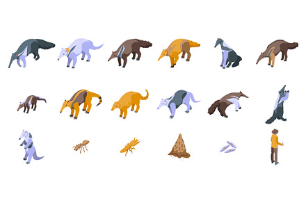 Anteater icons set isometric vector, an Animal Illustration by Ylivdesign