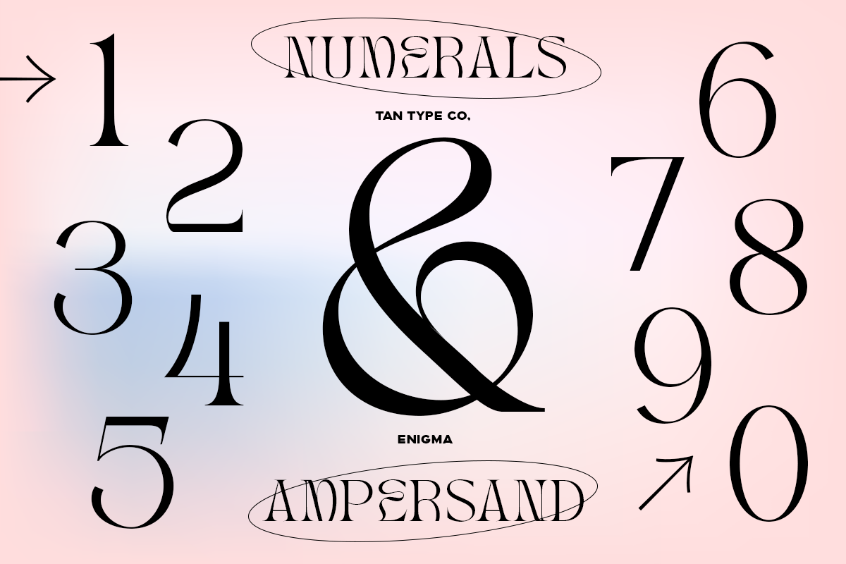 TAN - ENIGMA, a Serif Font by TanType (Photo 15 of 16)