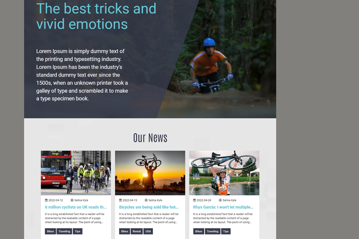 Bicycle Website Template, a Websites & App Template by Ordasoft (Photo 3 of 3)