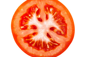 Tomato slice isolated on white, a Food & Drink Photo by BOOCYS