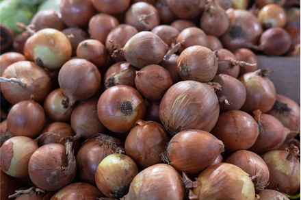 Assortment of fresh onions, a Food & Drink Photo by Jan Jack Russo Media