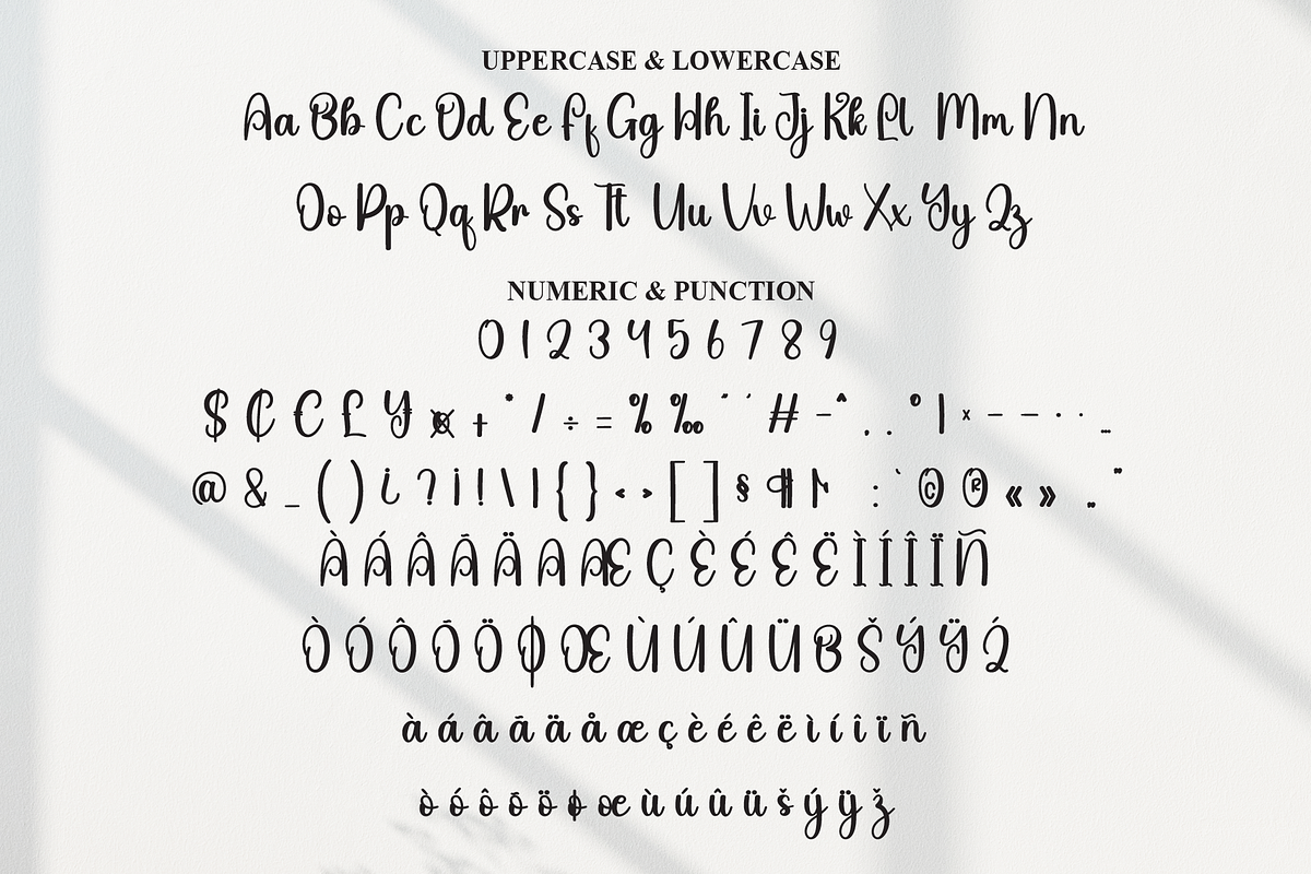 Bayside | Script Font, a Handwritten Font by Scratchones (Photo 7 of 9)