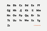 Plantae - Modern Minimalist Font, a Font by Studio Moara (Thumbnail 3 of 8)