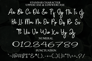 Flourish, a Handwritten Font by InermediaSTUDIO (Thumbnail 5 of 8)