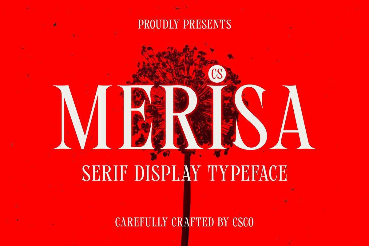 CS Merisa – Classic Font, a Serif Font by Craft Supply Co. (Photo 1 of 8)