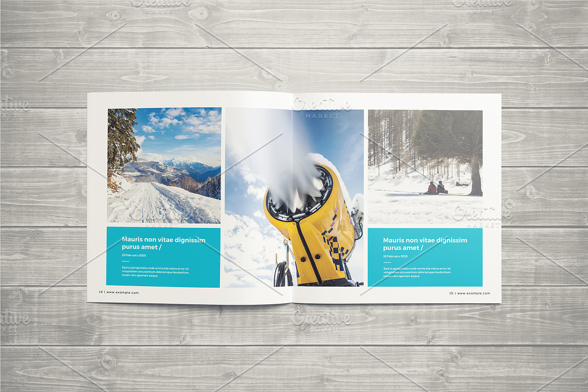 Photography Portfolio Template, a Brochure Template by ShapShapy (Photo 12 of 21)