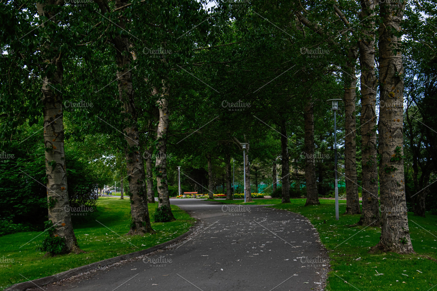 Scenic pathway surrounded by trees and greenery in Reykjavik, Iceland, a Photo by AS photostudio