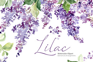 Watercolor Lilacs Violet Flowers