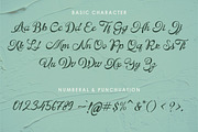 Naeville, a Script Font by StudioRhd (Thumbnail 9 of 10)