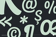 CoolKids Script Family, a Script Font by SevenType (Thumbnail 3 of 17)
