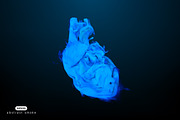 Smoky shapes of human organs, a Healthcare Illustration by Julvil (Thumbnail 2 of 7)