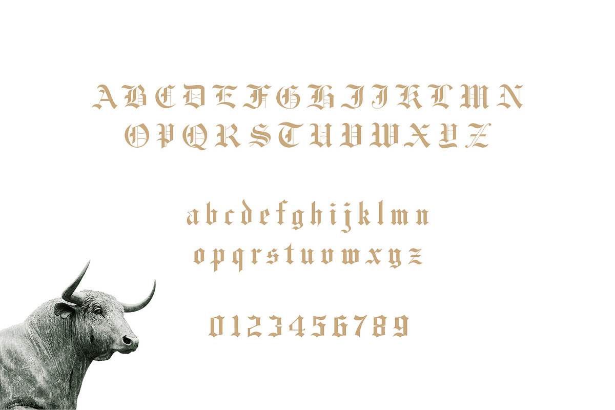 Fullerton typeface font preview 4
