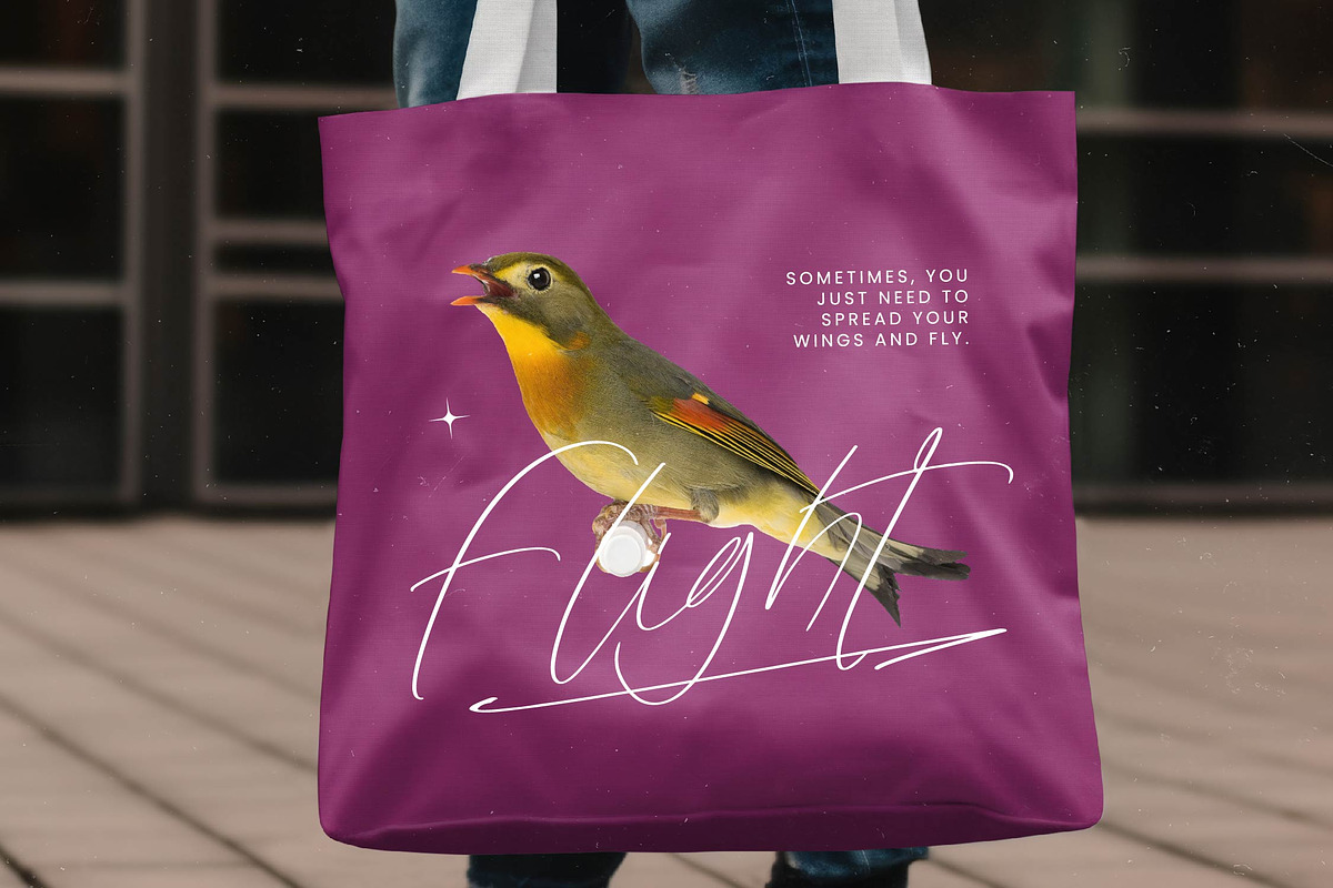 Melodies Sensation Natural Font, a Script Font by stylishtype.co (Photo 4 of 20)