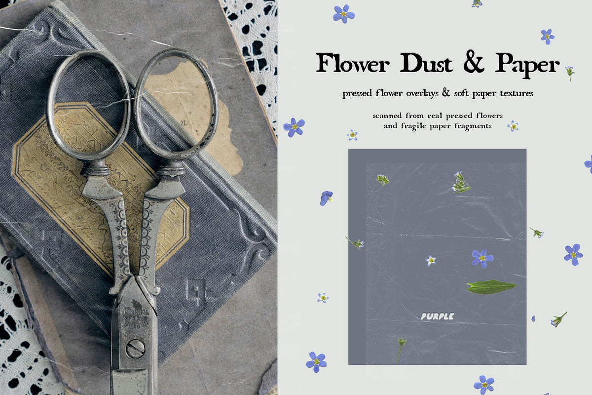 Flower Dust Overlays & Paper Texture, a Texture Graphic by Purple (Photo 2 of 15)