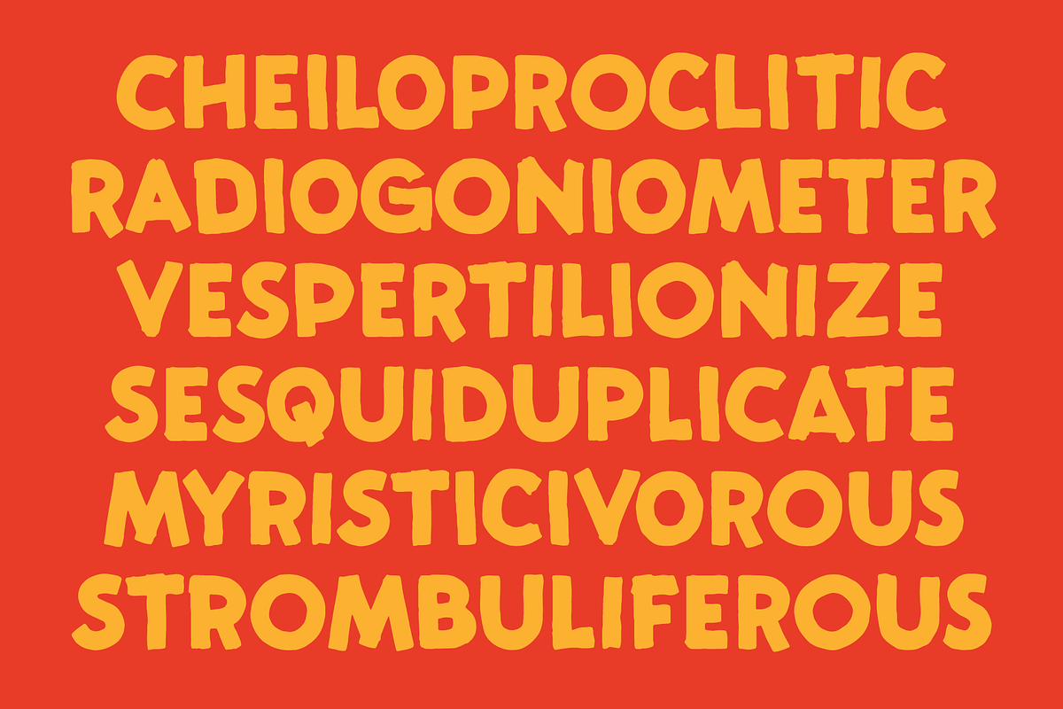 Stonehill, a Sans Serif Font by Great Scott! (Photo 8 of 8)