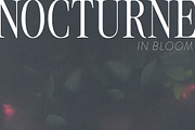 Nocturne in Bloom Floral Backgrounds, a Background Graphic by Dina Mae (Thumbnail 7 of 10)