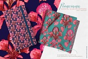 Poinciana Summer Pattern Set, a Pattern Graphic by Sketchbook Designs (Thumbnail 6 of 8)