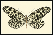 370+ Butterflies Cliparts, an Animal Illustration by Lilithcollageart (Thumbnail 5 of 8)