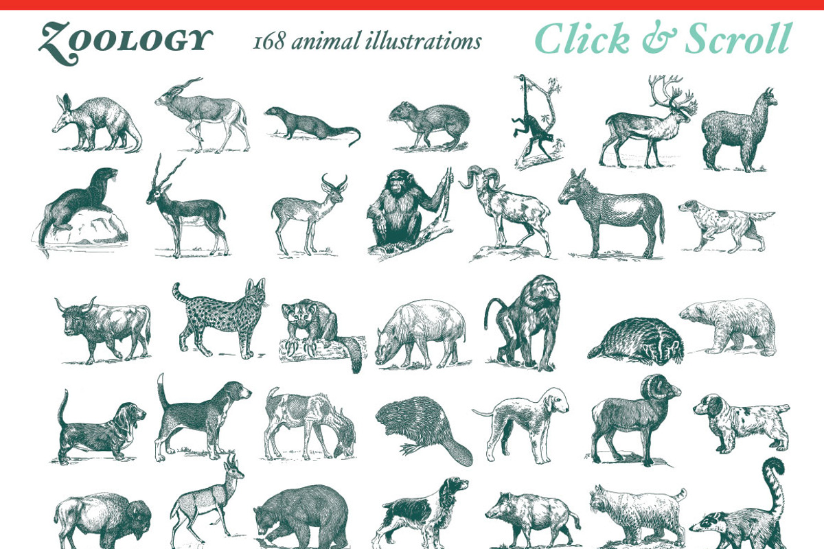 Super Illustration Pack, an Animal Illustration by BlackBird Foundry (Photo 3 of 4)
