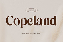 Copeland New Modern Serif Font