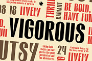 CS Bridger – Bold Font, a Sans Serif Font by Craft Supply Co. (Thumbnail 4 of 8)