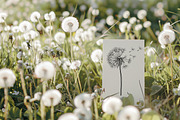 Dandelion Line Art SVG Bundle, a Decorative Illustration by Dervik Art Store (Thumbnail 2 of 8)