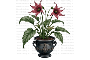 Potted Gothic Plants