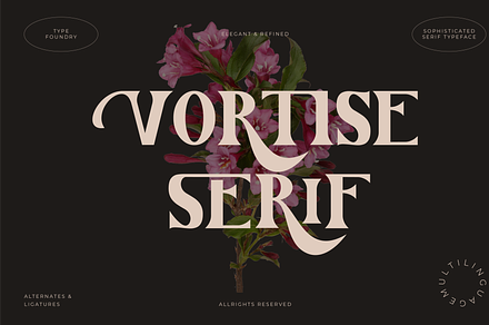 Vortise - Elegant Serif Font