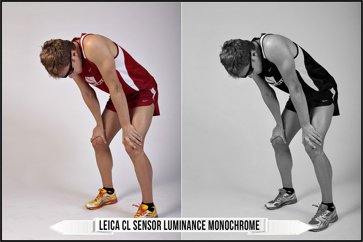 Leica Colors & Sensor Luminance, a Plug-in Add-On by Raztrend (Photo 15 of 29)