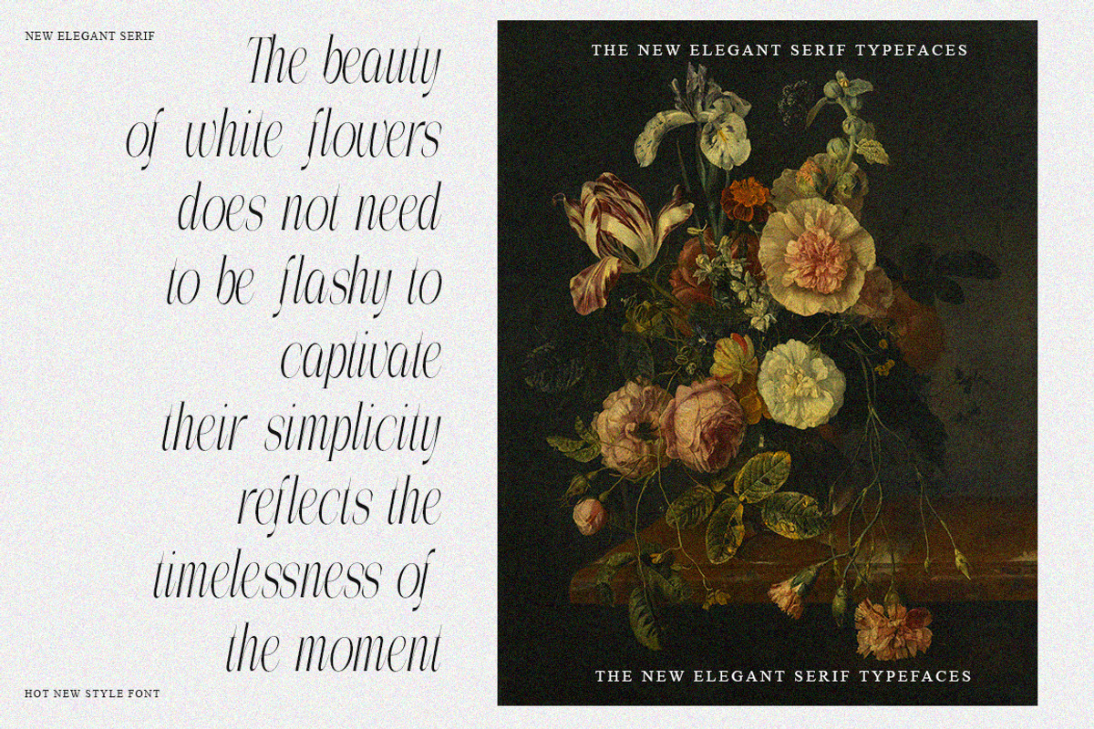 The Perfectly Migthem (11 Font), a Serif Font by IM Studio (Photo 4 of 9)