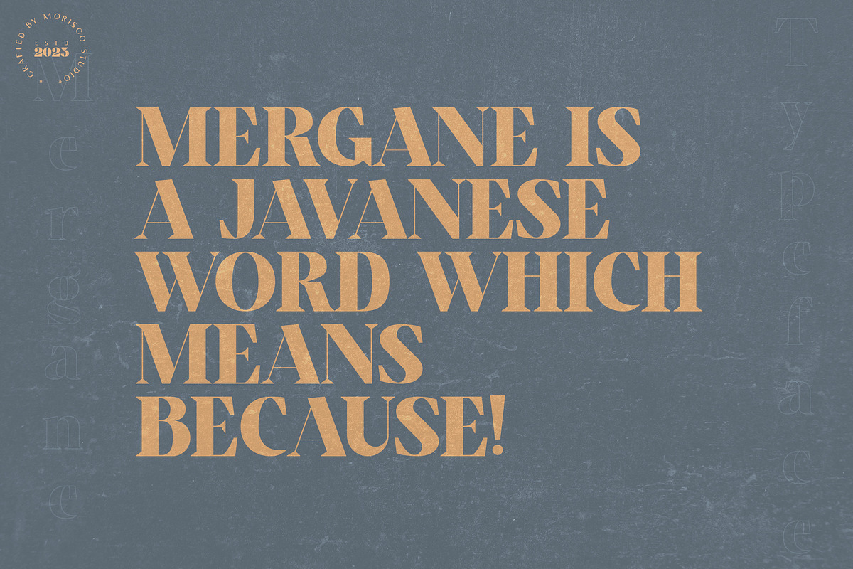 Mergane - Display Typeface, a Serif Font by Morisco (Photo 2 of 7)