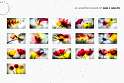 Blurred Summer Petals, a Nature Photo by Lumeno (Thumbnail 2 of 5)