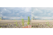 Kamin Japan Mood 2, an Action Add-On by Kamin Lightroom Preset (Thumbnail 4 of 22)
