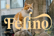Block Quote Serif, a Serif Font by Dora Typefoundry (Thumbnail 4 of 10)