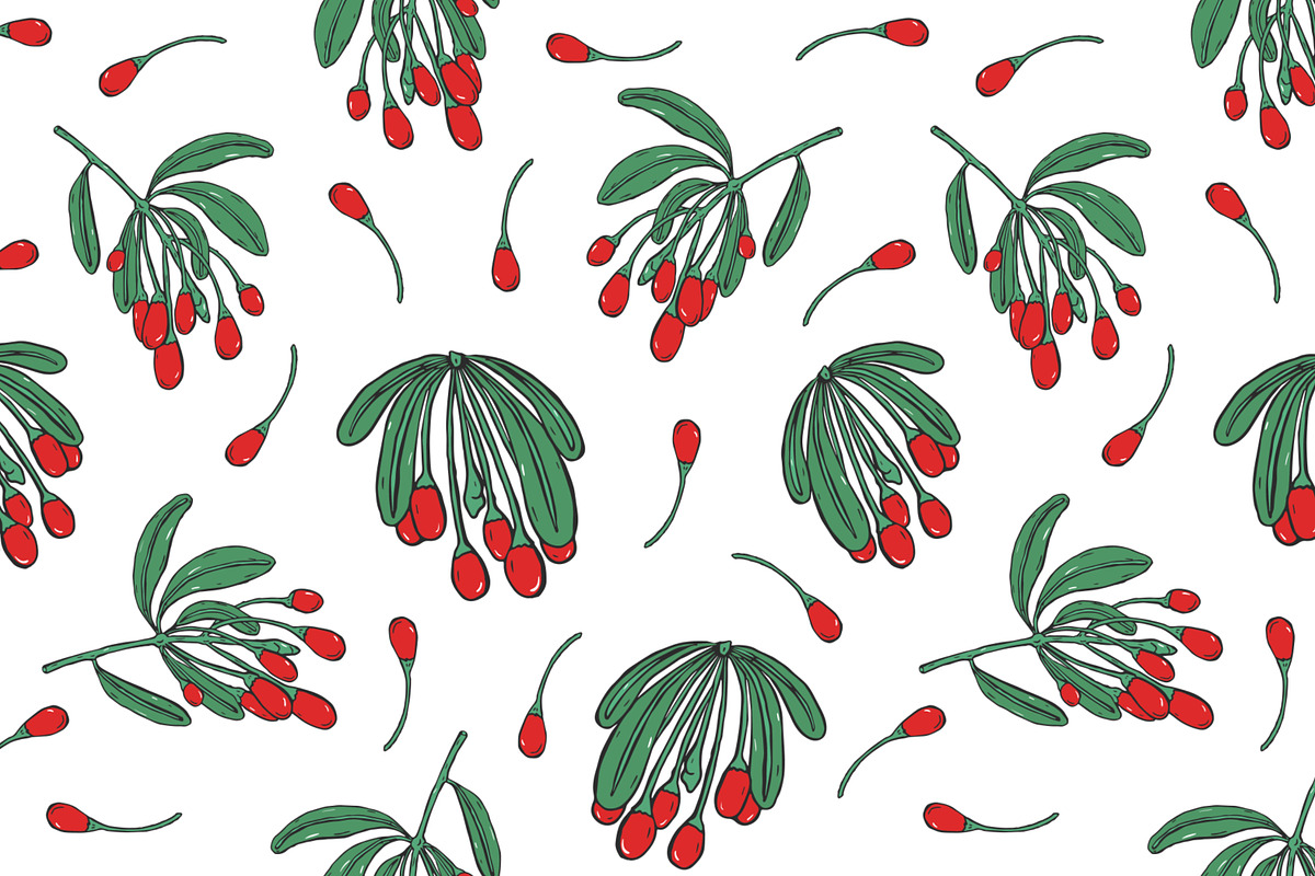 Goji berries set, seamless patterns, a Food Illustration by Good Studio (Photo 5 of 9)
