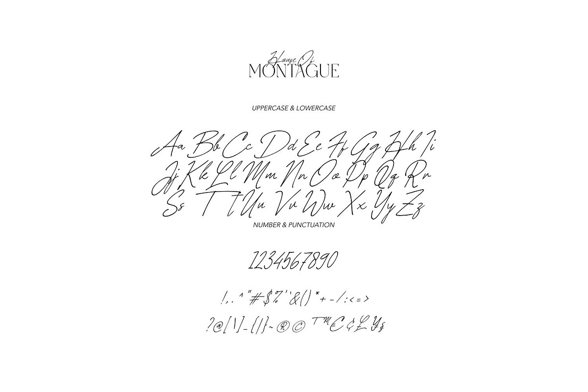 House of Montague - Classic Font Duo, a Serif Font by ikiiko (Photo 7 of 8)
