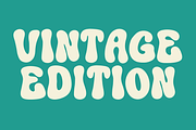 Oamphie Vintage, a Sans Serif Font by Dm Studio (Thumbnail 2 of 12)