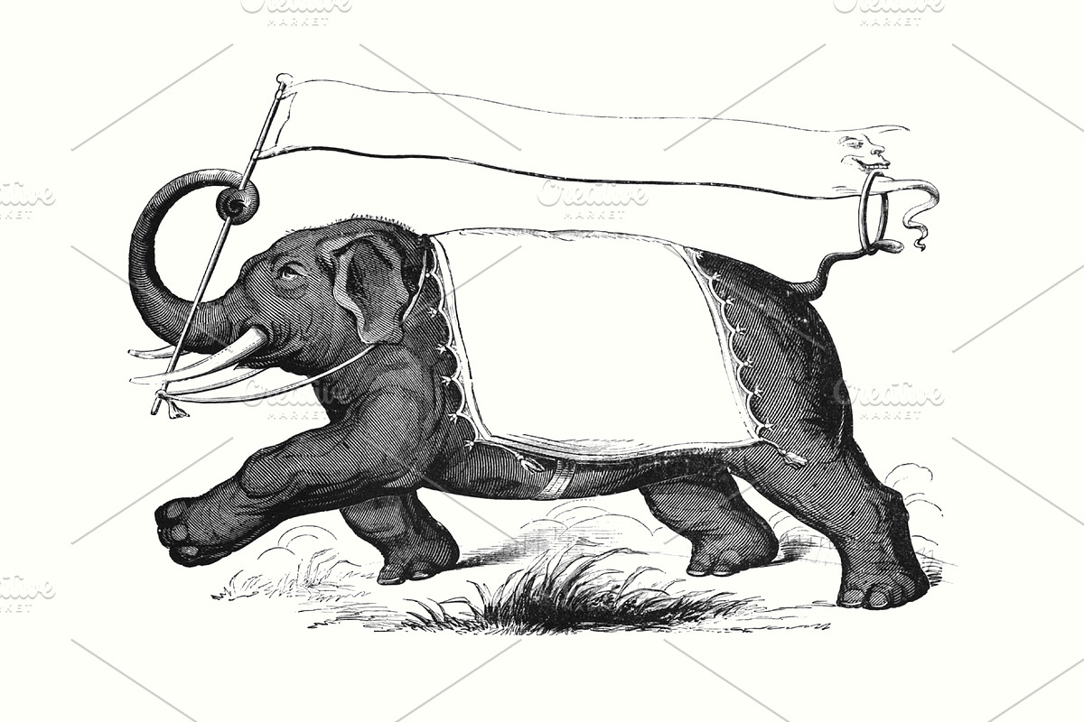 Electrotype Character Banners, an Animal Illustration by Blue Line Design (Photo 6 of 6)