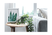 Frame Mockup Bundle - Minima, a Household Mockup by Saguaro Digital (Thumbnail 8 of 10)