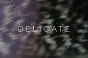 Delicate | 20 Feather Photos, a Nature Photo by Melanie Helena (Thumbnail 4 of 20)