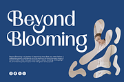 Banyelle Modern Elegant Sans Font, a Sans Serif Font by Vadovastd (Thumbnail 6 of 9)