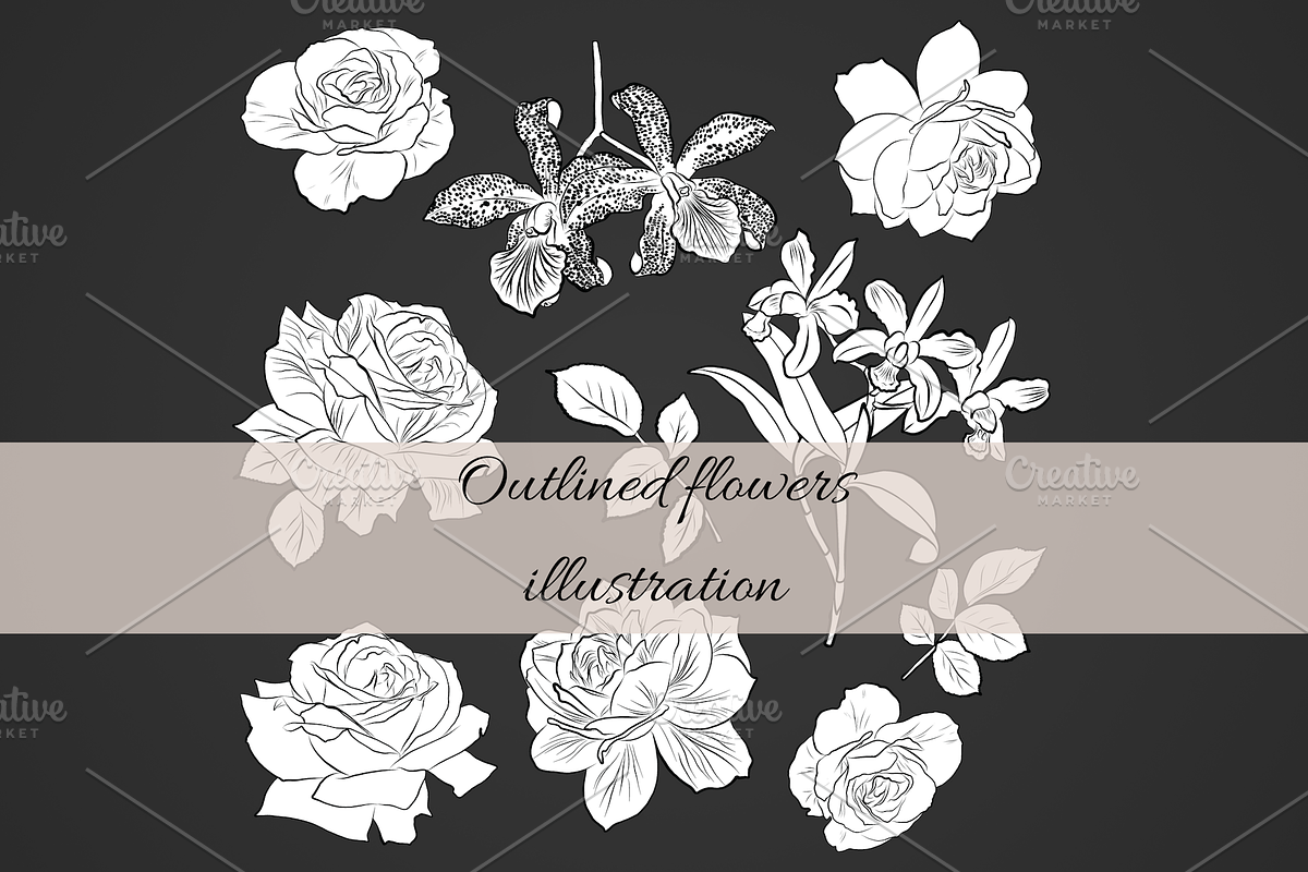 Roses ans Orchids, an Object Graphic by VictoriaKStudio (Photo 5 of 6)
