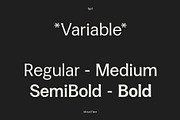 Minval Flare | Modern Flare Font, a Serif Font by Tiga Type (Thumbnail 4 of 14)